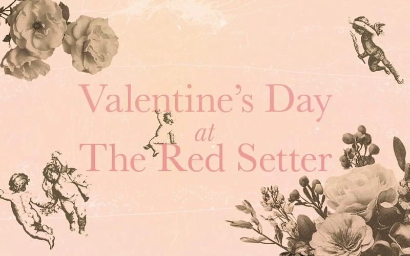Red Setter Valentine's Day  image - Pop-ups