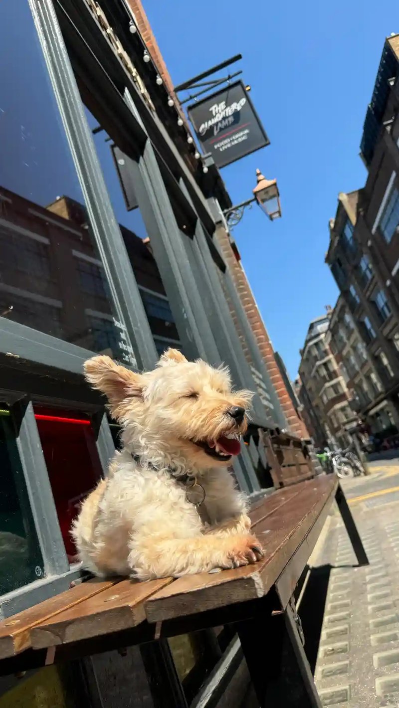 We often get asked if we allow furry friends in our pub. Here’s the proof that we do (we also promise to keep it cool) 🐶🐾