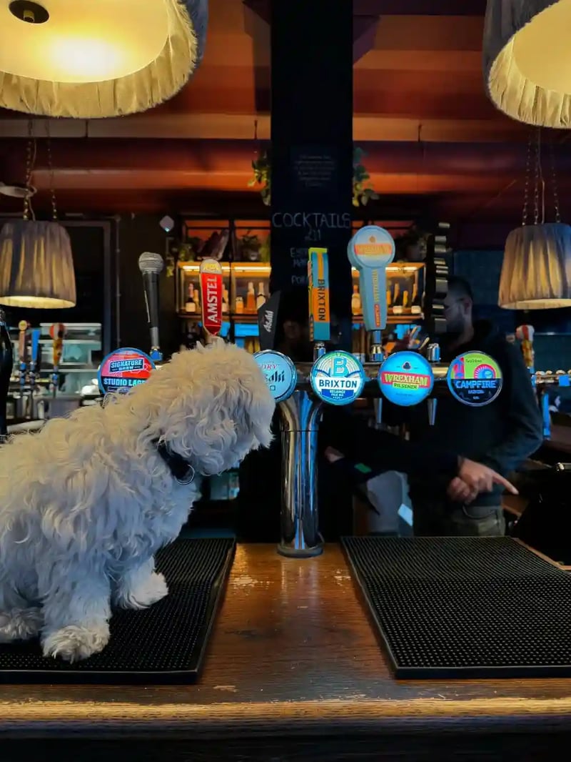 You better get to our pub quick, our regular customer’s eyeing up the taps and she doesn’t share! 🐶