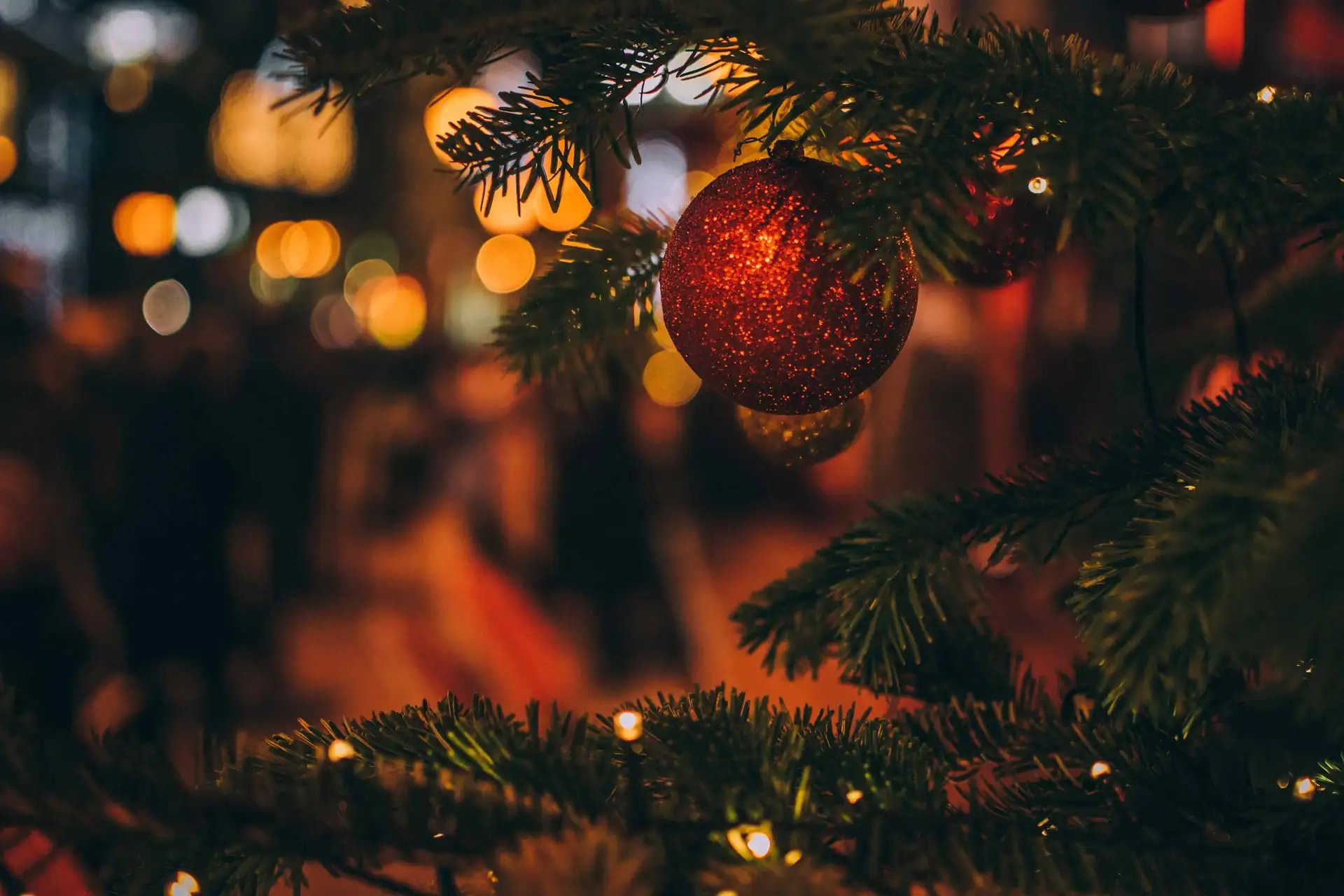 The Peacock  enquire section image - Christmas